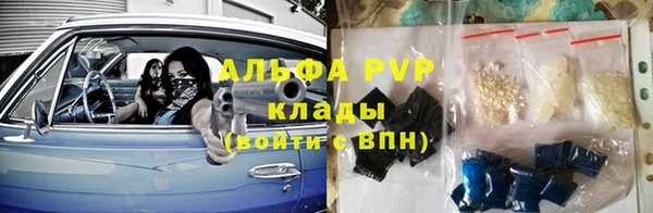 дмт Ладушкин