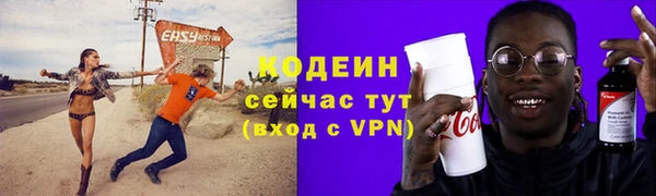 дмт Ладушкин