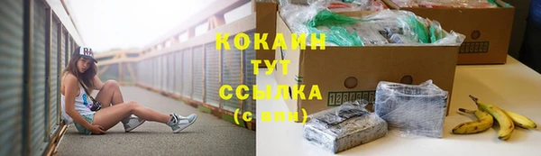 дмт Ладушкин