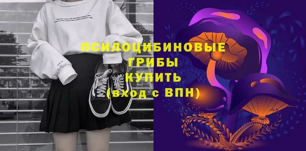 дмт Ладушкин