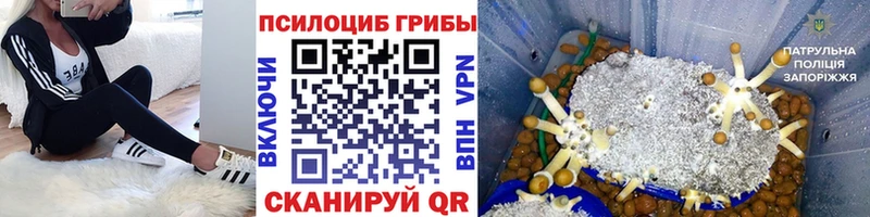 Галлюциногенные грибы Magic Shrooms  Мантурово 